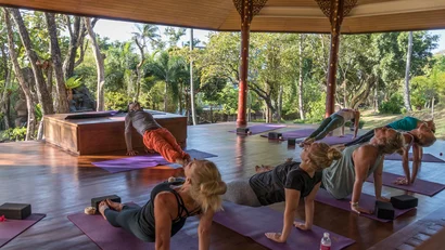 The Mangosteen Ayurveda & Wellness Resort: host a retreat