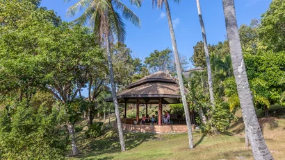 Yoga & wellness at the Mangosteen Ayurveda & Wellness Resort