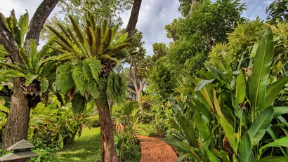 Yoga & wellness at the Mangosteen Ayurveda & Wellness Resort