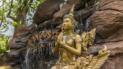 Yoga & wellness at the Mangosteen Ayurveda & Wellness Resort