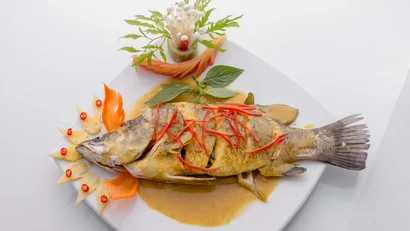 Yoga & wellness at the Mangosteen Ayurveda & Wellness Resort