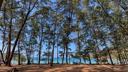 Ayurveda at the Mangosteen Ayurveda & Wellness Resort