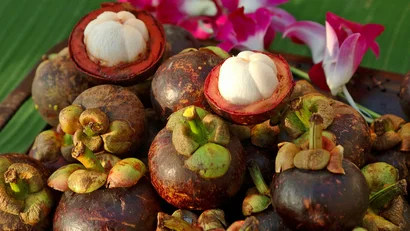 Yoga & wellness at the Mangosteen Ayurveda & Wellness Resort