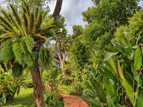 Ayurveda at the Mangosteen Ayurveda & Wellness Resort