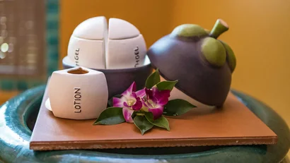 Ayurveda at the Mangosteen Ayurveda & Wellness Resort