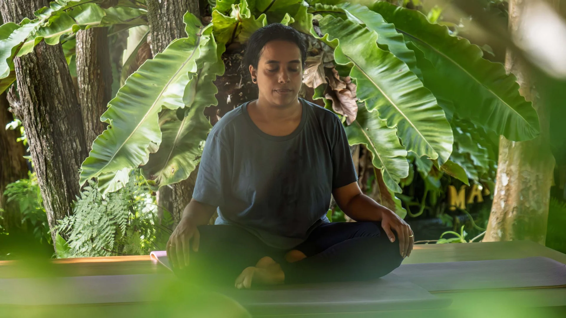 The Mangosteen Ayurveda & Wellness Resort: host a retreat