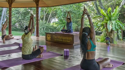 The Mangosteen Ayurveda & Wellness Resort: host a retreat