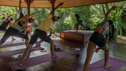 Ayurveda at the Mangosteen Ayurveda & Wellness Resort