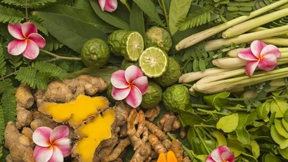 Ayurveda at the Mangosteen Ayurveda & Wellness Resort